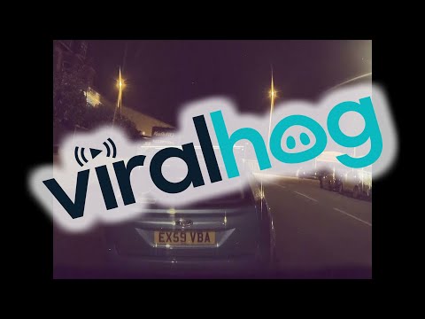Man Runs Across Car's Roof || ViralHog