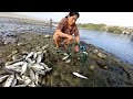 Le metimos dos a tarrayazos para pescar a esta poza sin imaginar capturar cientos de peces de río.