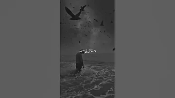 حالات واتس عصام صاصا فرحونى يمكن اخلص من العيشه واموت 