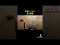 #探偵 #片岡探偵事務所 #浮気調査 #不倫 #修羅場 #ライブカメラ #切り抜き