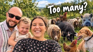 How Do We Manage 20 Animals & a Baby? Routine on the Homestead
