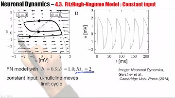 CNS4.3B - Analysis of a 2D neuron model - constant input
