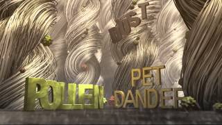 Stanley Steemer    Kyle