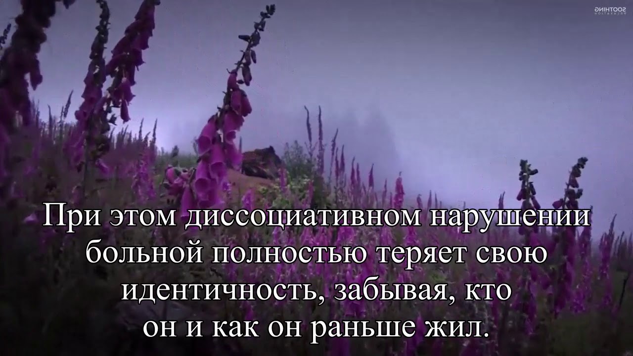 Амнезия виды и лечение — Статья - YouTube