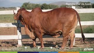 Ababe Plus, the balanced feed from ADM® at Rancho Par de Ases