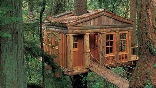 Top 20 Amazing Fairytale Tree Houses Around the Globe
