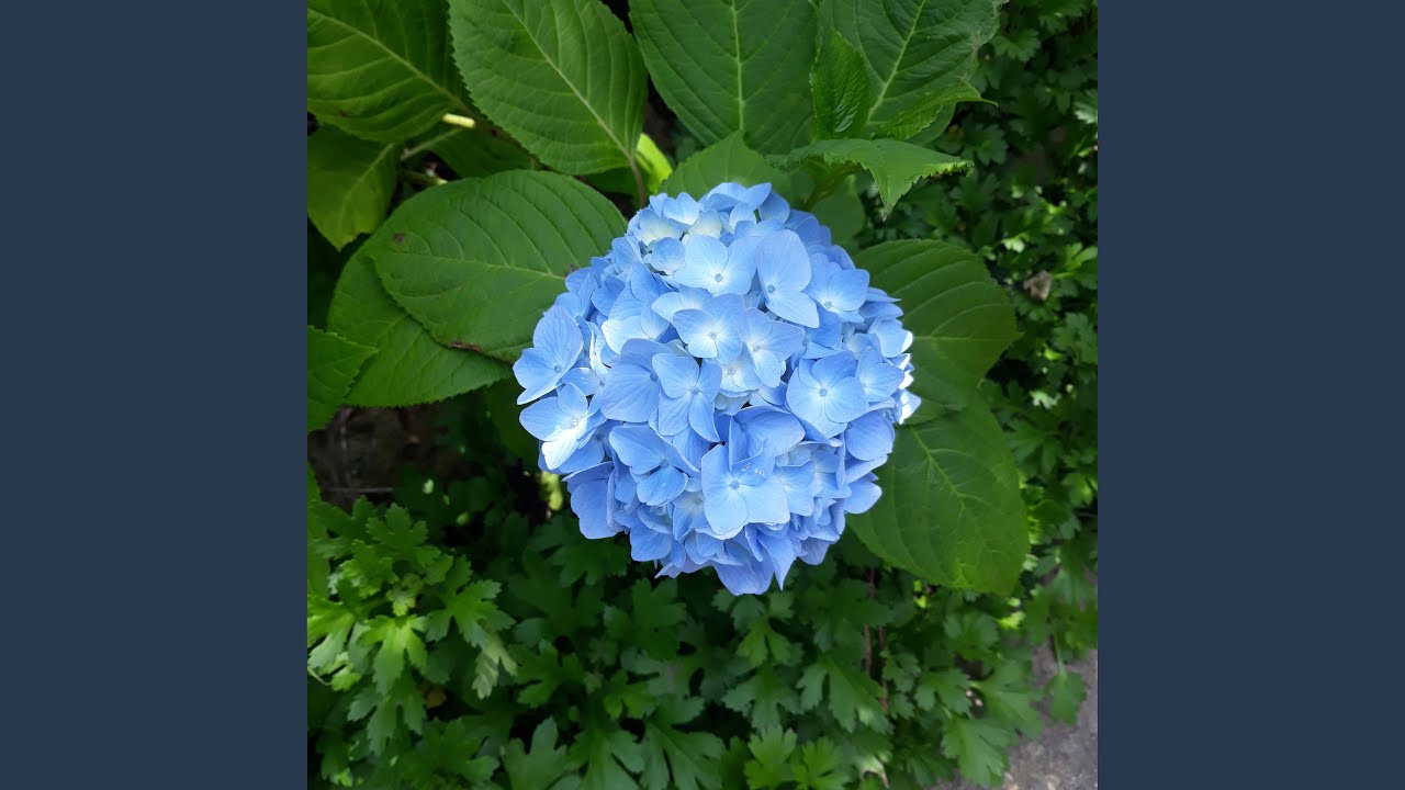 Snow in the Hotel Lobby