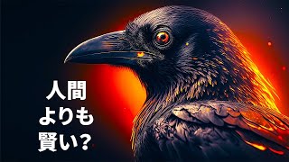 カラスの賢さは尋常じゃない