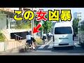 交差点から突っ込んできた自転車女子高生、予想外の展開が待っていた/最新日本ドラレコ