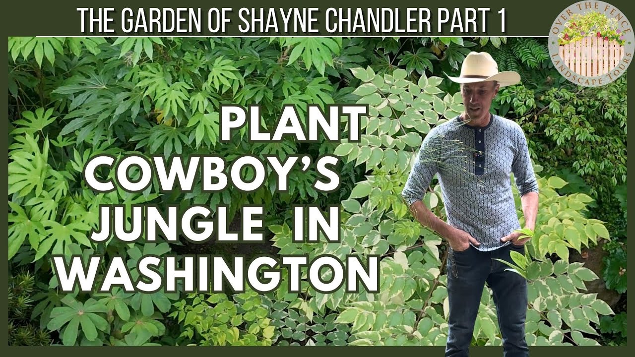 Plant Cowboy's JUNGLE in Washington - Château De Lalacelle's Gardener Shayne Chandler Part 1