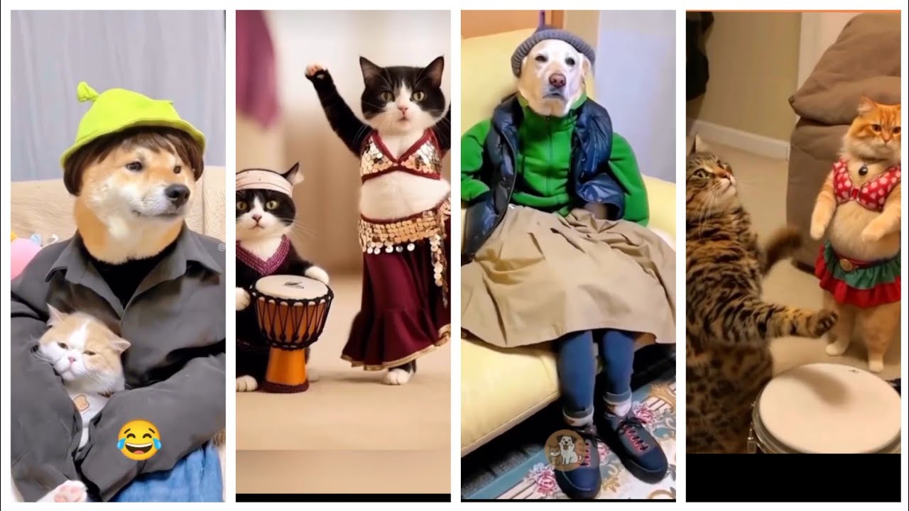 اغرب المواقف والحركات للقطط والحيوانات 😂💥🐕💯