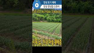 n887, 창녕 창녕읍 신촌리 토지 1724제곱미터(521.5평) 매매, 평당11만, 문의:010-4750-7880 #창녕땅 #창녕토지 #창녕농지