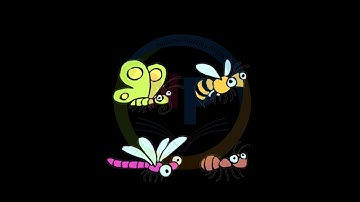 Memory Test: Guess The Correct One! | Guess Puzzle | #shorts #paheliyan #viral