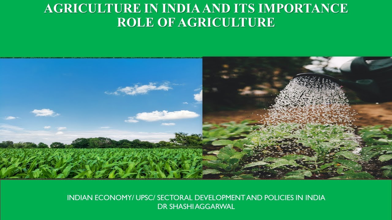 ROLE OF AGRICULTURE IN INDIAN ECONOMY - YouTube