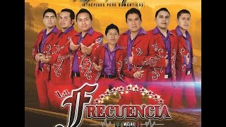 FRECUENCIA DE MÉXICO - NOVILLO DESPUNTADO - VOL.1 - 2016
