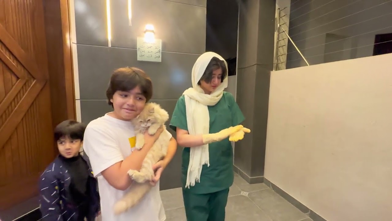 Finally We Gave Away DODO To Our Lovely Subscriber 🐈 Kainat Ka Ro Ro Ke Bura Haal Hogay 😭