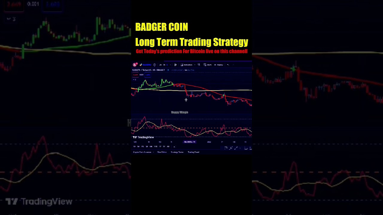 BADGER COIN long term trading strategy 