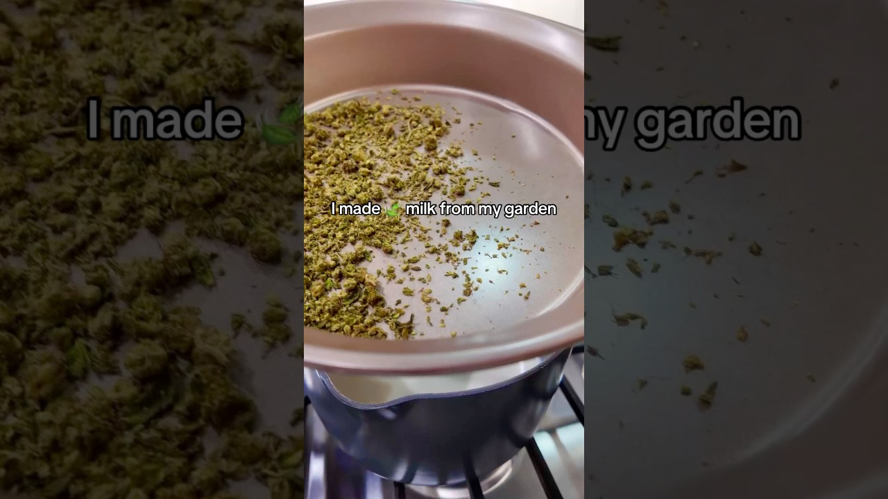 Got infused milk? 😝