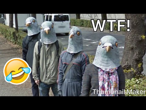 Video: Google Japan Pani Tänavavaate Kaamerad Kolmele Akitase Koerale