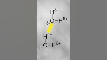 Hydrogen Bonding in Under 1 Minute!