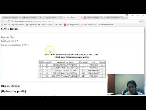 Proteinphysiochemistry Expasy Protparam Sosui Server And Psortb Youtube Proteinphysiochemistry Expasy Protparam Sosui Server And Psortb Youtube
