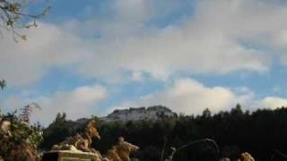 Camino sanabrés de un canilero.