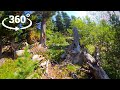 Где-то в лесу - VR 360° 5K Video - Горный Алтай