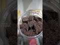 Incense Oud and Amber