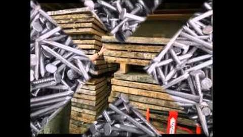 BOGLE THE MAN HISTORY AND THE DANCE 100%