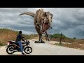 T Rex Chase   Part 2   Jurassic World Fan Movie dinosaur in real life