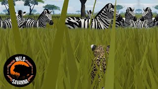 Serengeti: When Prey Meets Predator | Wild Savannah
