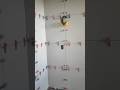 #pedreiro #eletricista #viral  #obra #construcao #arquitetura #casa #viral #viralvideo #construtora