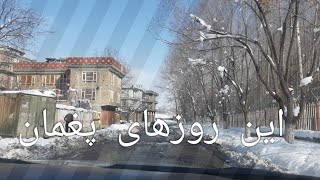 تصاویری از این روزهای پغمان