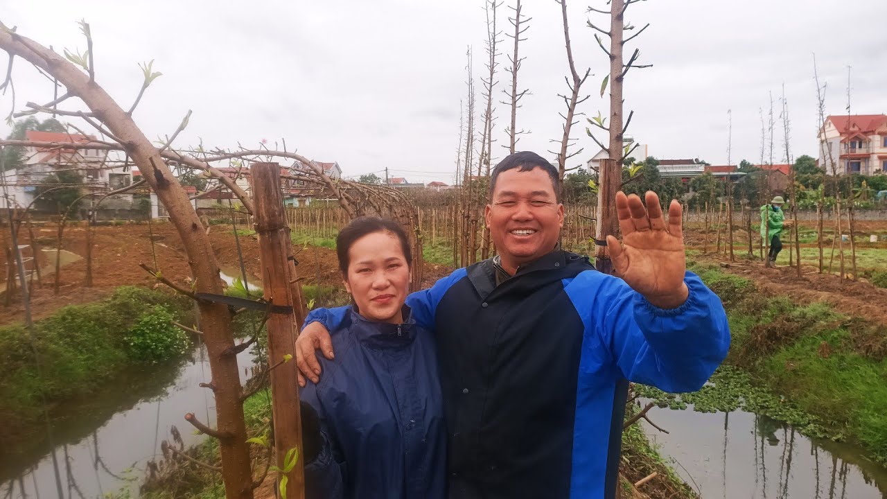 Kỹ thuật đỉnh Cao uốn đào huyền nhà vườn Nguyện Huyền