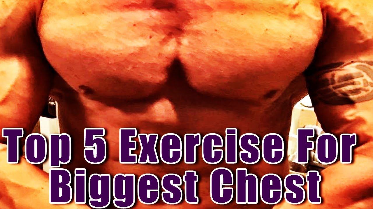 Top 5 Exercise For Biggest Chest Best Chest WorkOut 2018 YouTube