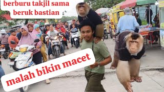Bastians Macaque Hunt For Takjil breaking Fast Is The Center Of Attention Many People Are A