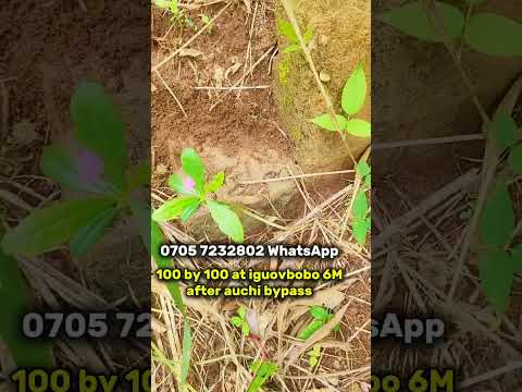 Cheap Land At Iguovbobo