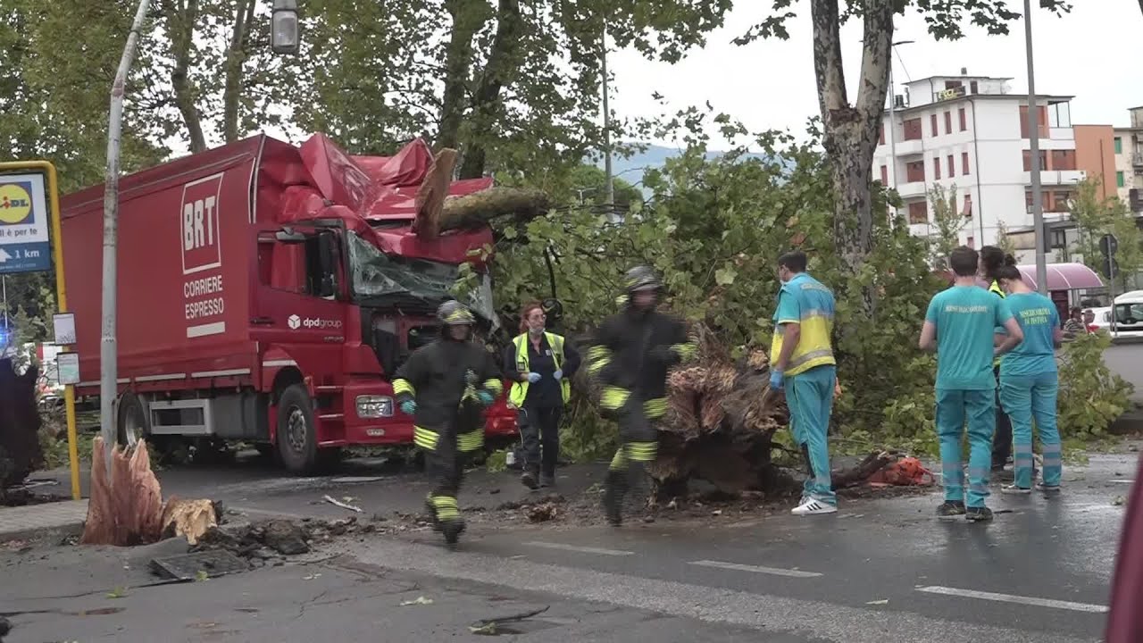 Danni e disagi su Pistoia per alberi caduti su mezzi e case