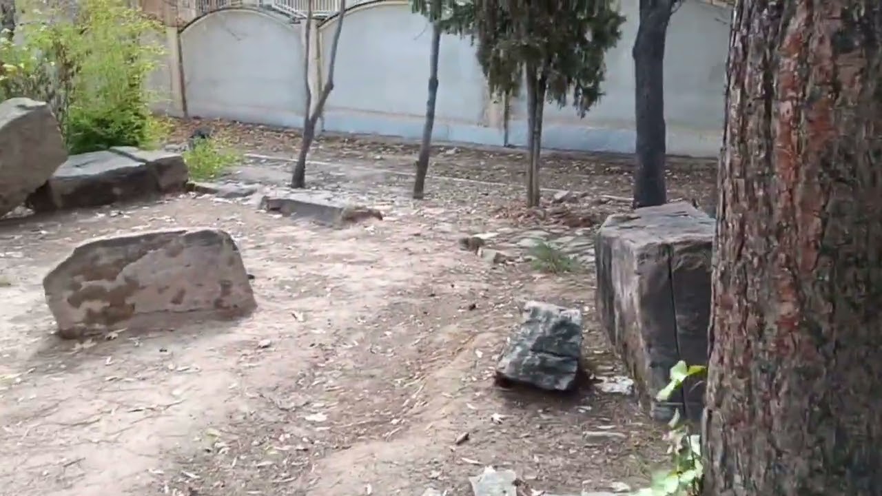 Walking on a Winter Day in Eram Garden, Shiraz | Peaceful Nature Walk 🍂❄️