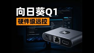 救命神器！远程修电脑再也不用来回跑！向日葵Q1上手体验丨ORAY Q1