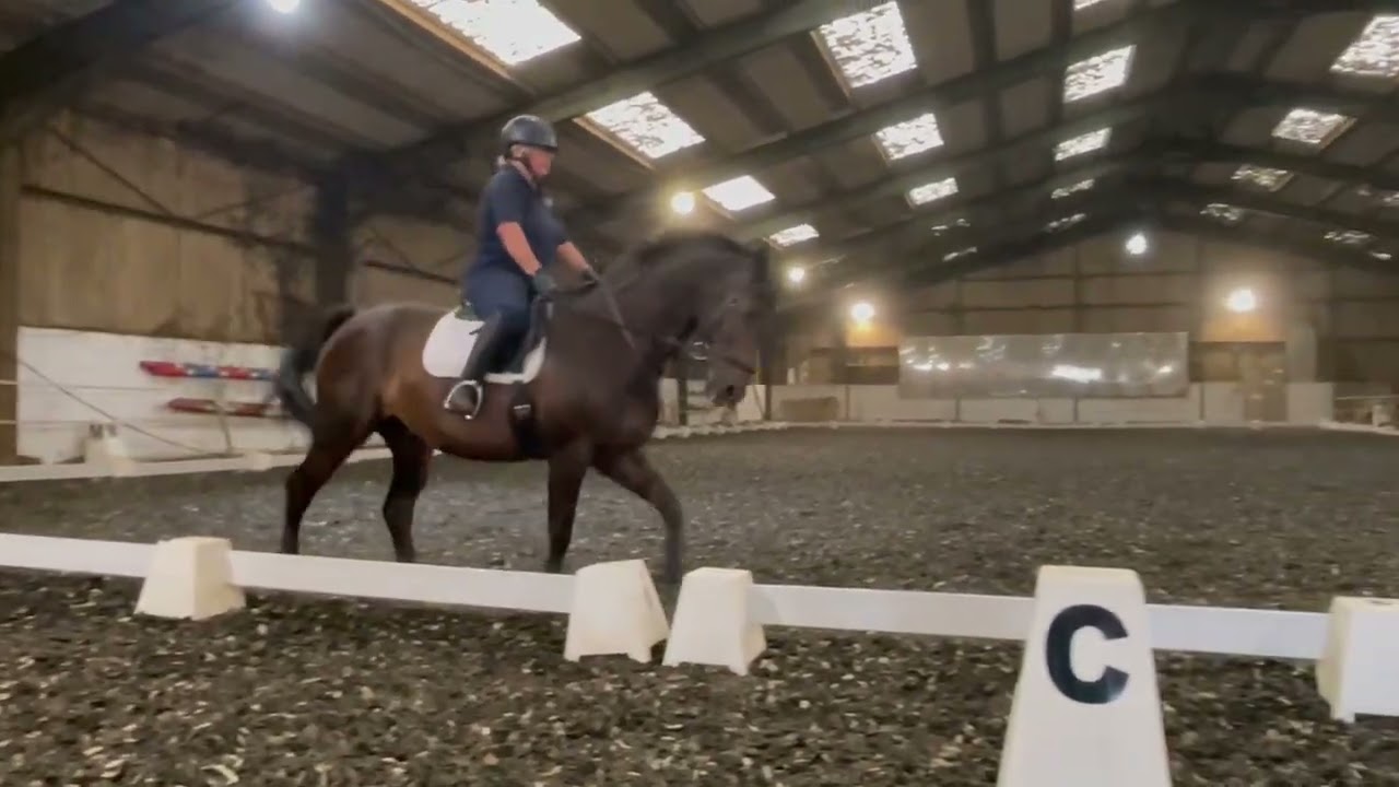 BRC Summer Sizzler - Jenny Moxham - CSF Vivendi Vie - Newlands Corner Riding Club - Fizziy Fillies