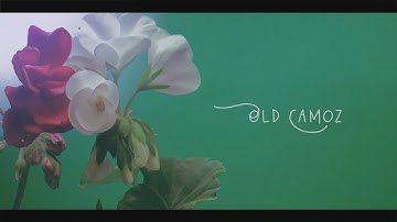 introducing old camoz