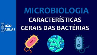 Características Gerais Das Bactérias Reino Monera - Microbiologia Bacteriologia