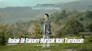 BAIAK DITANAM BURUAK NAN TUMBUAH - HARRY PARINTANG ( MUSIC VIDEO 2024)