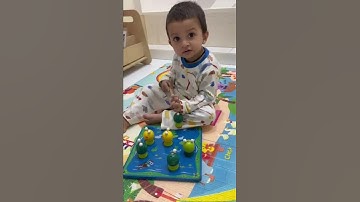 Magnatic Duckling game from Unnati Library