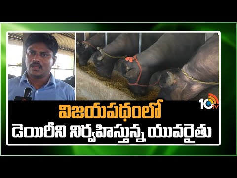 Young Farmer Successful Dairy Farm | విజయపథంలో డెయిరీని నిర్వహిస్తున్న యువరైతు | Matti Manishi |10TV