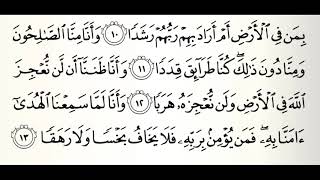 سورة الجن القارئ صالح الصاهود