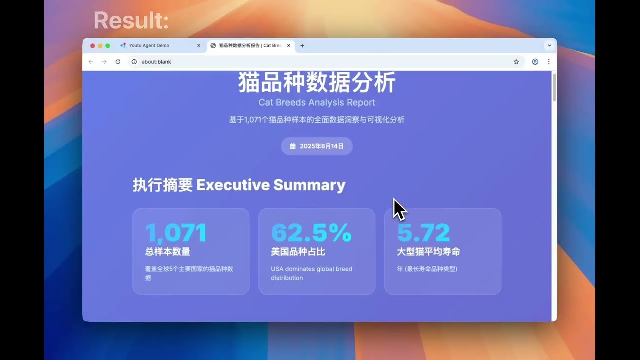 Youtu-agent example: data analysis