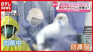 「新型コロナ」感染の母が出産…子どもへに影響は？　韓国（2021年2月1日放送「news every.」より）