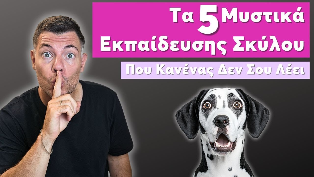 Τα 5 Μυστικά Εκπαίδευσης που θα Μεταμορφώσουν τον Σκύλο σου σε 2 Εβδομάδες